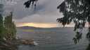 ./images/koeye/fitz-hugh/20260825/fitz-hugh20260825_192502M.jpg