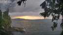./images/koeye/fitz-hugh/20260825/fitz-hugh20260825_193002M.jpg