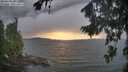 ./images/koeye/fitz-hugh/20260825/fitz-hugh20260825_193501M.jpg