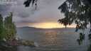 ./images/koeye/fitz-hugh/20260825/fitz-hugh20260825_194002M.jpg