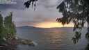 ./images/koeye/fitz-hugh/20260825/fitz-hugh20260825_194501M.jpg