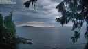 ./images/koeye/fitz-hugh/20260825/fitz-hugh20260825_204502M.jpg