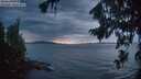 ./images/koeye/fitz-hugh/20260825/fitz-hugh20260825_205002M.jpg