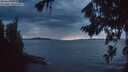 ./images/koeye/fitz-hugh/20260825/fitz-hugh20260825_205501M.jpg