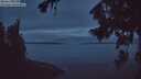 ./images/koeye/fitz-hugh/20260826/fitz-hugh20260826_055501M.jpg
