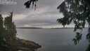./images/koeye/fitz-hugh/20260826/fitz-hugh20260826_072502M.jpg