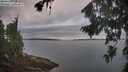 ./images/koeye/fitz-hugh/20260826/fitz-hugh20260826_074501M.jpg