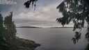 ./images/koeye/fitz-hugh/20260826/fitz-hugh20260826_080001M.jpg