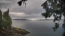 ./images/koeye/fitz-hugh/20260826/fitz-hugh20260826_082501M.jpg
