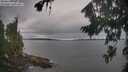 ./images/koeye/fitz-hugh/20260826/fitz-hugh20260826_092001M.jpg
