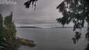 ./images/koeye/fitz-hugh/20260826/fitz-hugh20260826_093501M.jpg