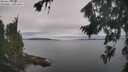 ./images/koeye/fitz-hugh/20260826/fitz-hugh20260826_101502M.jpg