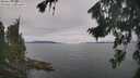 ./images/koeye/fitz-hugh/20260826/fitz-hugh20260826_103001M.jpg