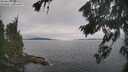 ./images/koeye/fitz-hugh/20260826/fitz-hugh20260826_105001M.jpg