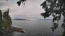 ./images/koeye/fitz-hugh/20260826/fitz-hugh20260826_110001M.jpg