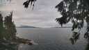 ./images/koeye/fitz-hugh/20260826/fitz-hugh20260826_110501M.jpg