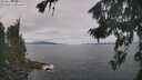./images/koeye/fitz-hugh/20260826/fitz-hugh20260826_111501M.jpg