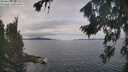 ./images/koeye/fitz-hugh/20260826/fitz-hugh20260826_112502M.jpg