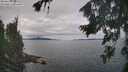 ./images/koeye/fitz-hugh/20260826/fitz-hugh20260826_113002M.jpg