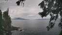./images/koeye/fitz-hugh/20260826/fitz-hugh20260826_113501M.jpg