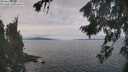 ./images/koeye/fitz-hugh/20260826/fitz-hugh20260826_115001M.jpg