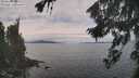 ./images/koeye/fitz-hugh/20260826/fitz-hugh20260826_120001M.jpg