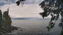 ./images/koeye/fitz-hugh/20260826/fitz-hugh20260826_122002M.jpg