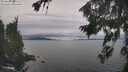./images/koeye/fitz-hugh/20260826/fitz-hugh20260826_125001M.jpg