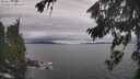 ./images/koeye/fitz-hugh/20260826/fitz-hugh20260826_125501M.jpg