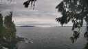 ./images/koeye/fitz-hugh/20260826/fitz-hugh20260826_130502M.jpg