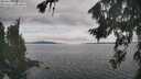 ./images/koeye/fitz-hugh/20260826/fitz-hugh20260826_131002M.jpg