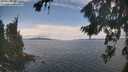 ./images/koeye/fitz-hugh/20260826/fitz-hugh20260826_134501M.jpg