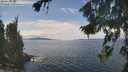 ./images/koeye/fitz-hugh/20260826/fitz-hugh20260826_135001M.jpg