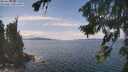./images/koeye/fitz-hugh/20260826/fitz-hugh20260826_135501M.jpg