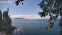 ./images/koeye/fitz-hugh/20260826/fitz-hugh20260826_140501M.jpg
