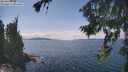 ./images/koeye/fitz-hugh/20260826/fitz-hugh20260826_141002M.jpg