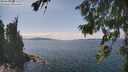 ./images/koeye/fitz-hugh/20260826/fitz-hugh20260826_141501M.jpg