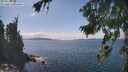 ./images/koeye/fitz-hugh/20260826/fitz-hugh20260826_142501M.jpg