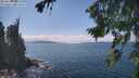 ./images/koeye/fitz-hugh/20260826/fitz-hugh20260826_143001M.jpg