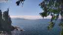 ./images/koeye/fitz-hugh/20260826/fitz-hugh20260826_143501M.jpg