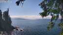 ./images/koeye/fitz-hugh/20260826/fitz-hugh20260826_144001M.jpg