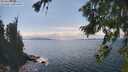 ./images/koeye/fitz-hugh/20260826/fitz-hugh20260826_145501M.jpg