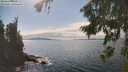 ./images/koeye/fitz-hugh/20260826/fitz-hugh20260826_152001M.jpg