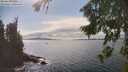 ./images/koeye/fitz-hugh/20260826/fitz-hugh20260826_153002M.jpg