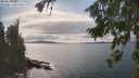 ./images/koeye/fitz-hugh/20260826/fitz-hugh20260826_154001M.jpg