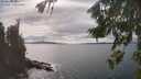 ./images/koeye/fitz-hugh/20260826/fitz-hugh20260826_154501M.jpg