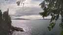 ./images/koeye/fitz-hugh/20260826/fitz-hugh20260826_160502M.jpg