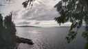 ./images/koeye/fitz-hugh/20260826/fitz-hugh20260826_162001M.jpg