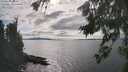 ./images/koeye/fitz-hugh/20260826/fitz-hugh20260826_162502M.jpg