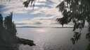 ./images/koeye/fitz-hugh/20260826/fitz-hugh20260826_163502M.jpg